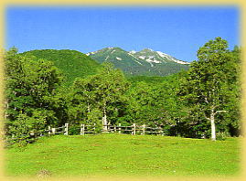 夏の一之瀬園地